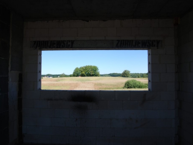 Okno w kuchni skierowane jest na niezabudowany teren z kępą zieleni.